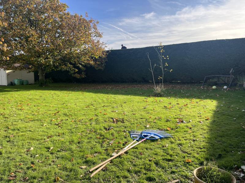 Trouver un jardinier professionnel pour l'entretien régulier de mon jardin au Havre