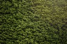 Notre zone d'activité pour ce service Dessouchage d’arbustes par des professionnels